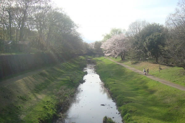 野川公園